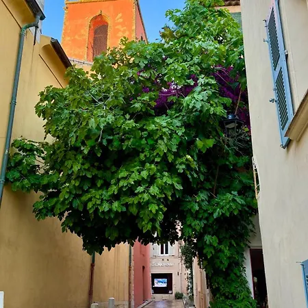 Le Figuier Du Clocher - Coeur Du Vieux Village Апартаменты Сен-Тропе