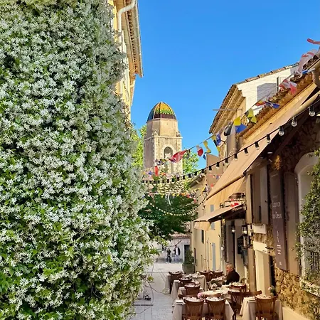 Апартаменты Le Figuier Du Clocher - Coeur Du Vieux Village Сен-Тропе
