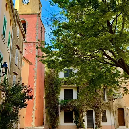 Lejlighed Le Figuier Du Clocher - Coeur Du Vieux Village *