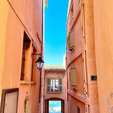Lejlighed Le Figuier Du Clocher - Coeur Du Vieux Village Saint-Tropez